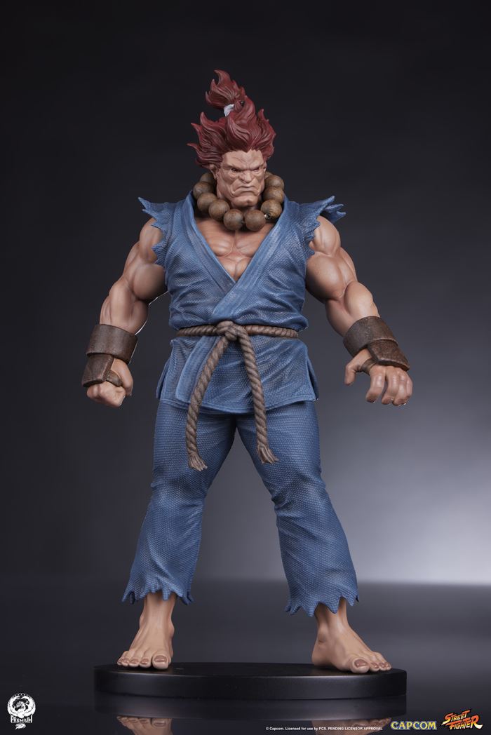 AKUMA & DHALSIM