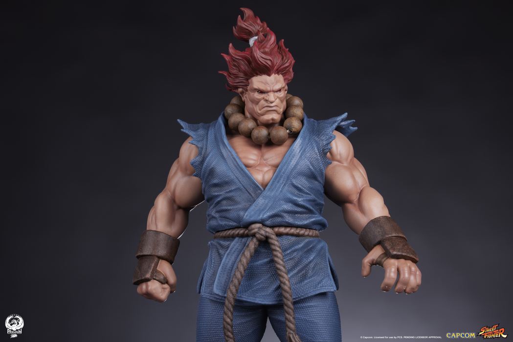 AKUMA & DHALSIM