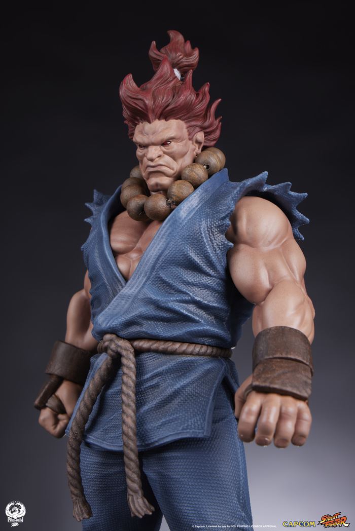 AKUMA & DHALSIM