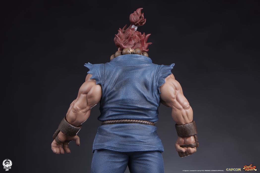 AKUMA & DHALSIM