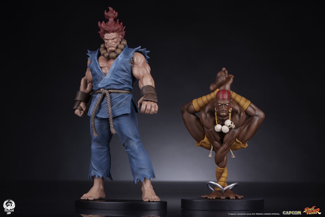 AKUMA & DHALSIM