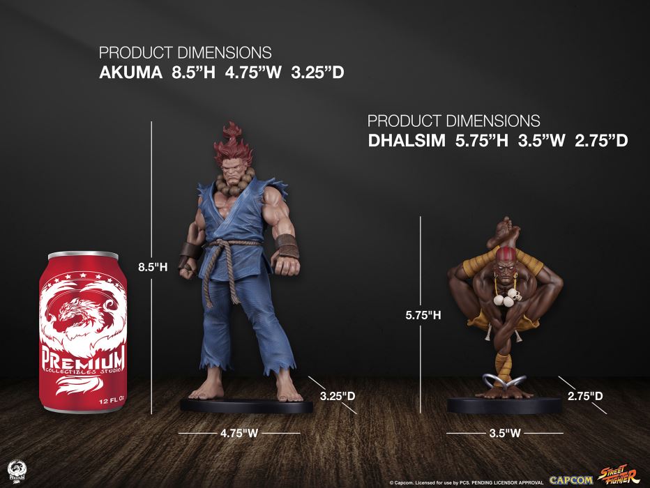 AKUMA & DHALSIM