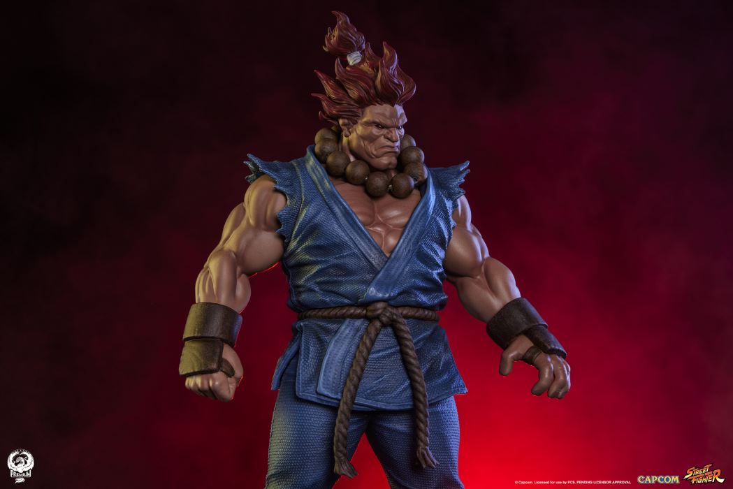 AKUMA & DHALSIM