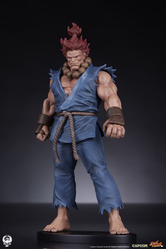 AKUMA & DHALSIM