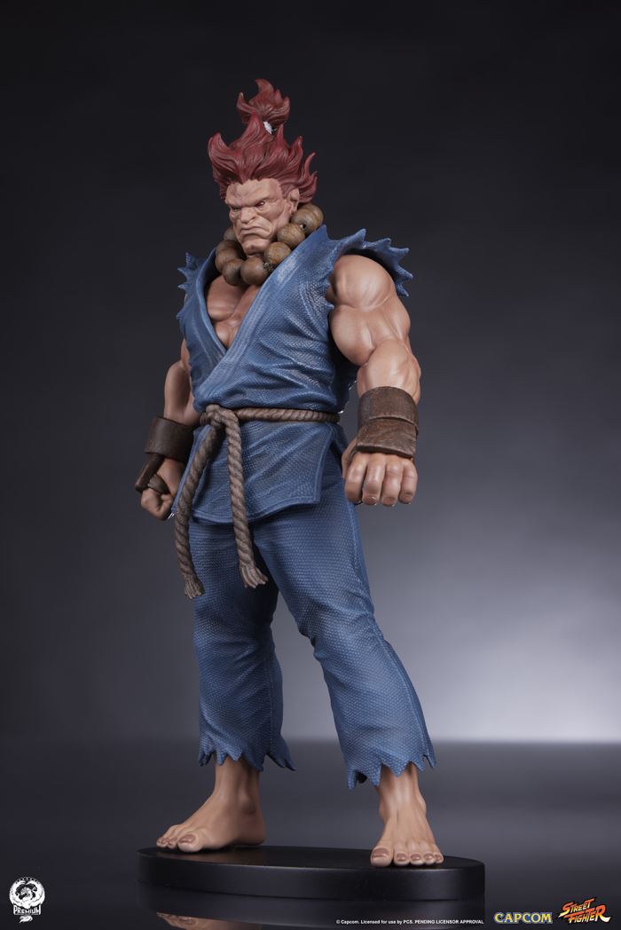 AKUMA & DHALSIM