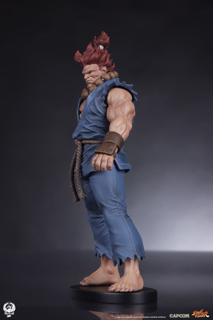 AKUMA & DHALSIM