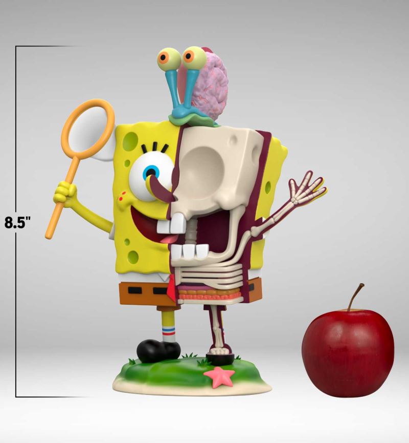 XXRAY PLUS SPONGEBOB SQUAREPANTS