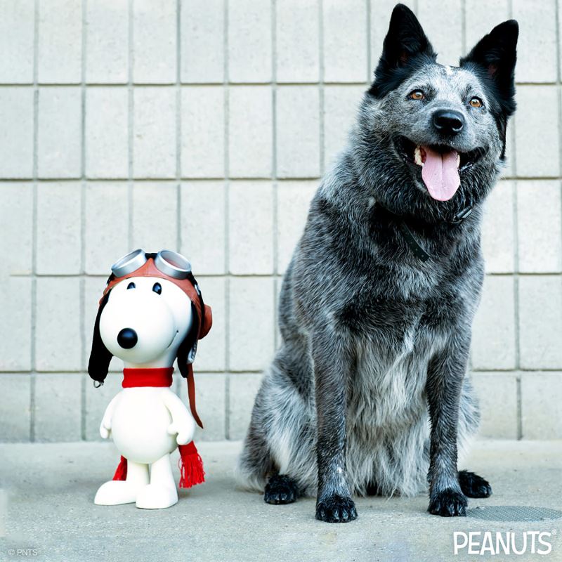 SNOOPY FLYING ACE