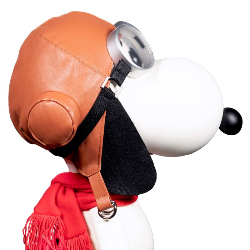 SNOOPY FLYING ACE