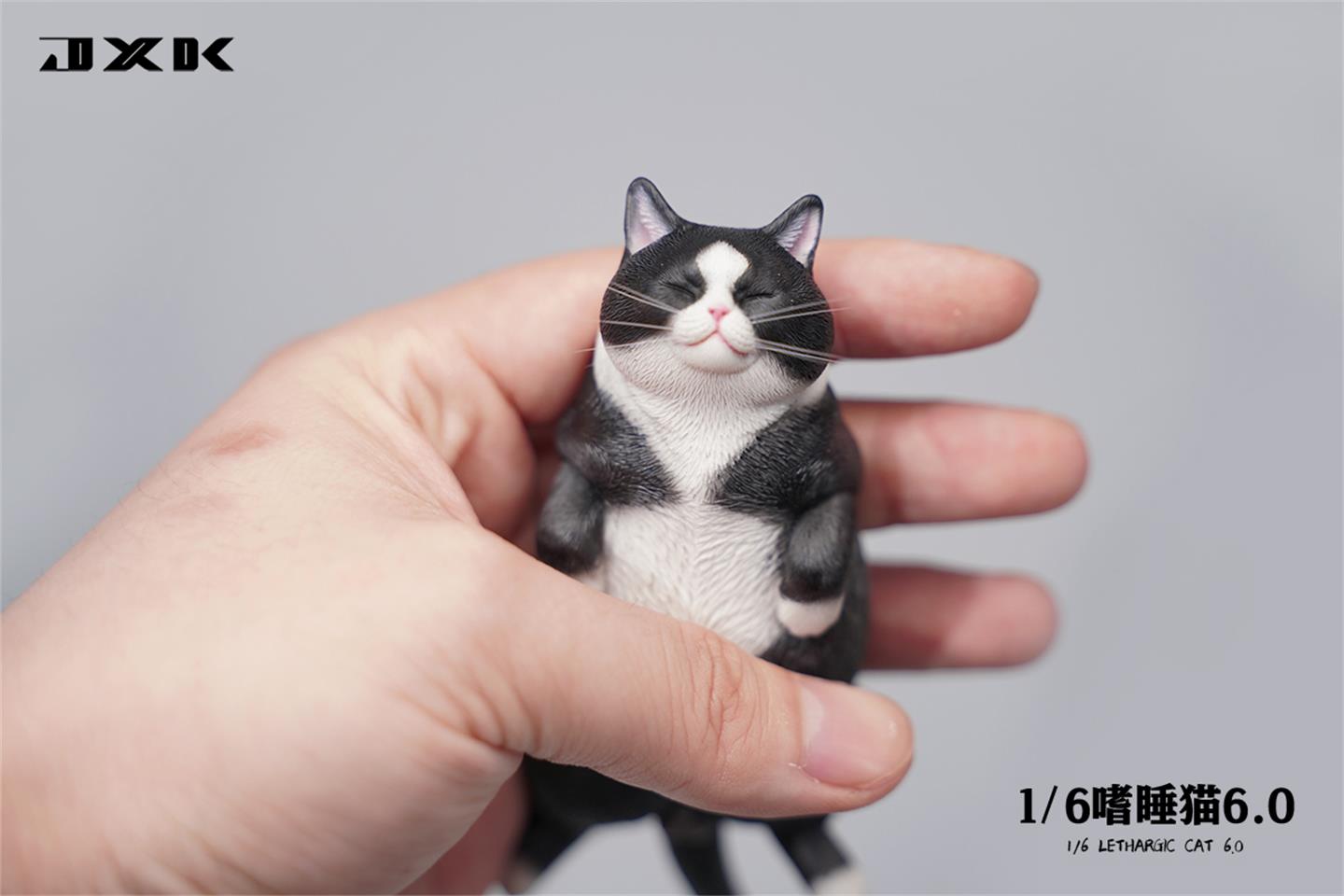 Sleepy cat 6.0 (JXK170) 1/6