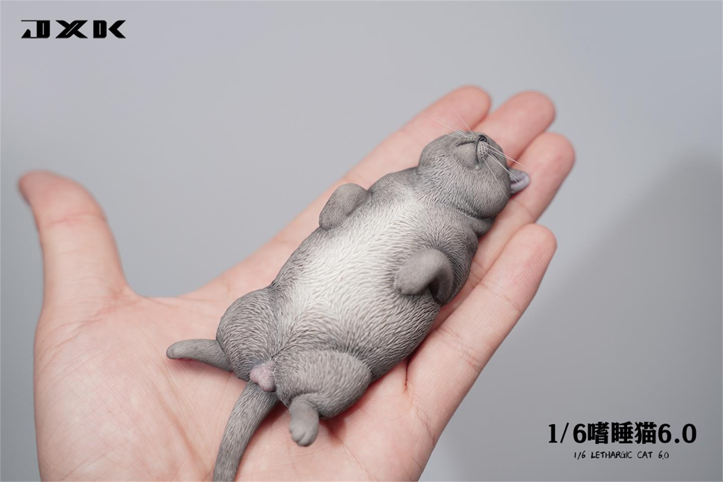 Sleepy cat 6.0 (JXK170) 1/6