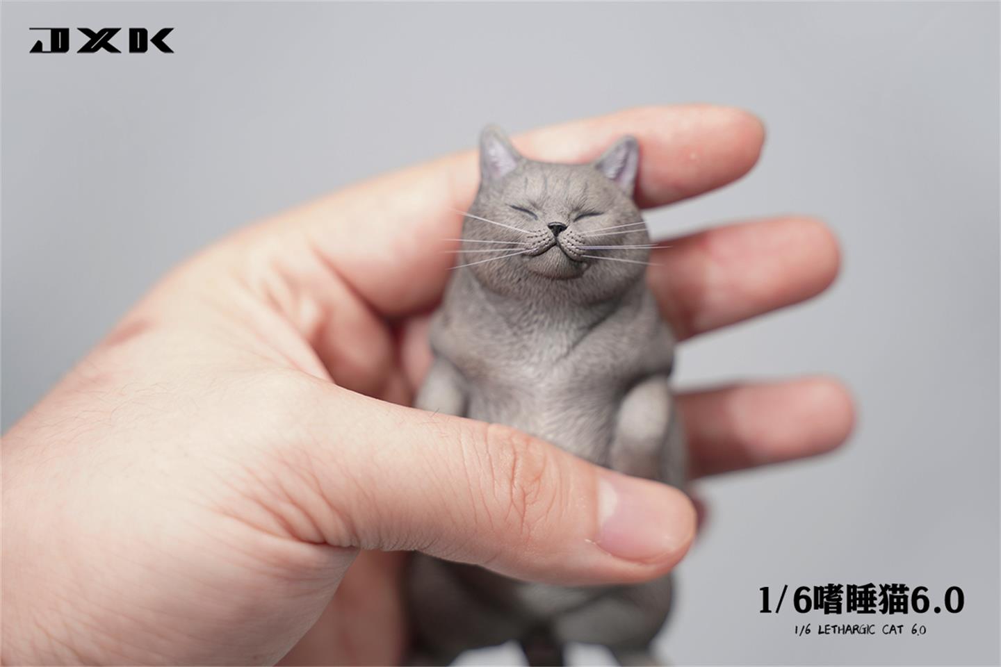Sleepy cat 6.0 (JXK170) 1/6