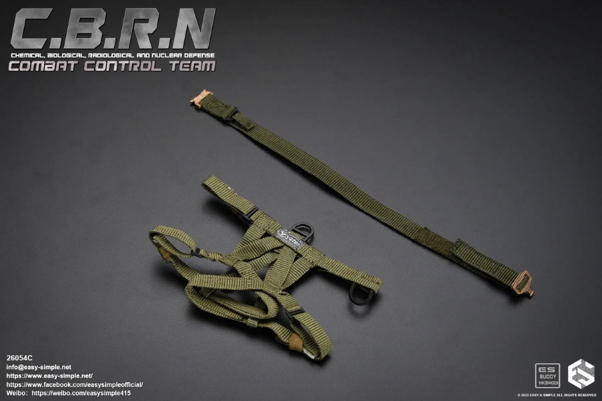 CBRN Assault Team 1/6