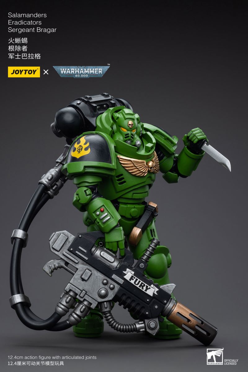 Salamanders Eradicators