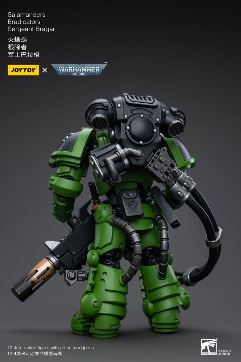 Salamanders Eradicators