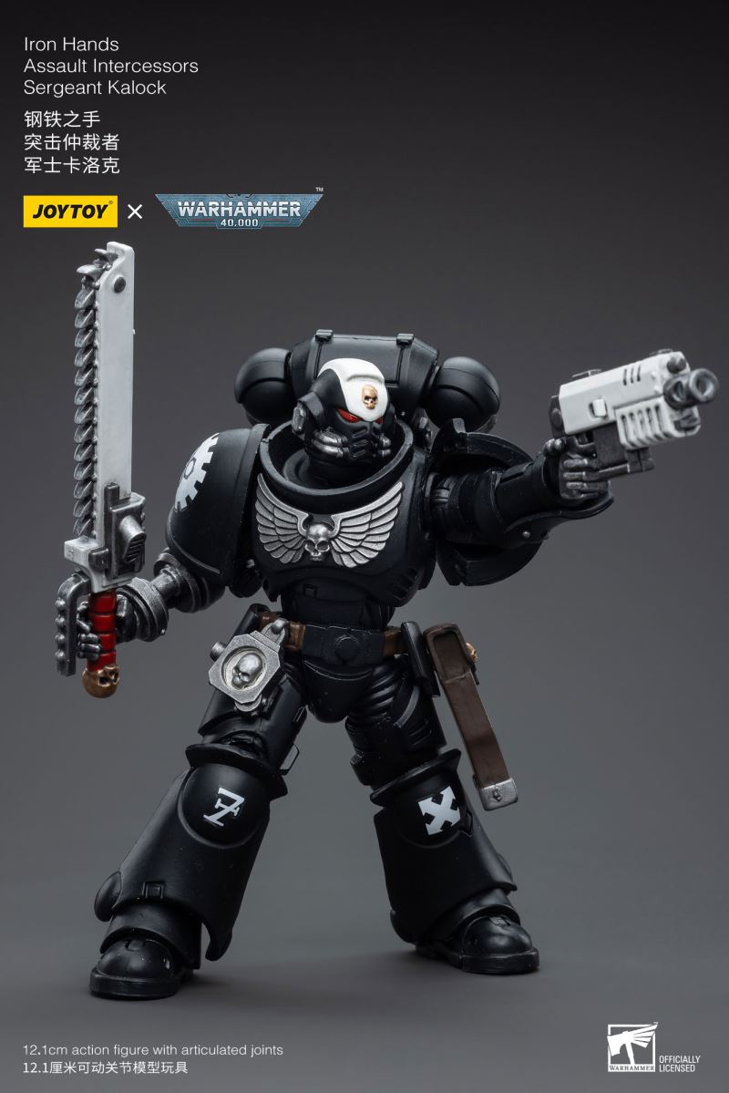 Iron Hands Intercessors