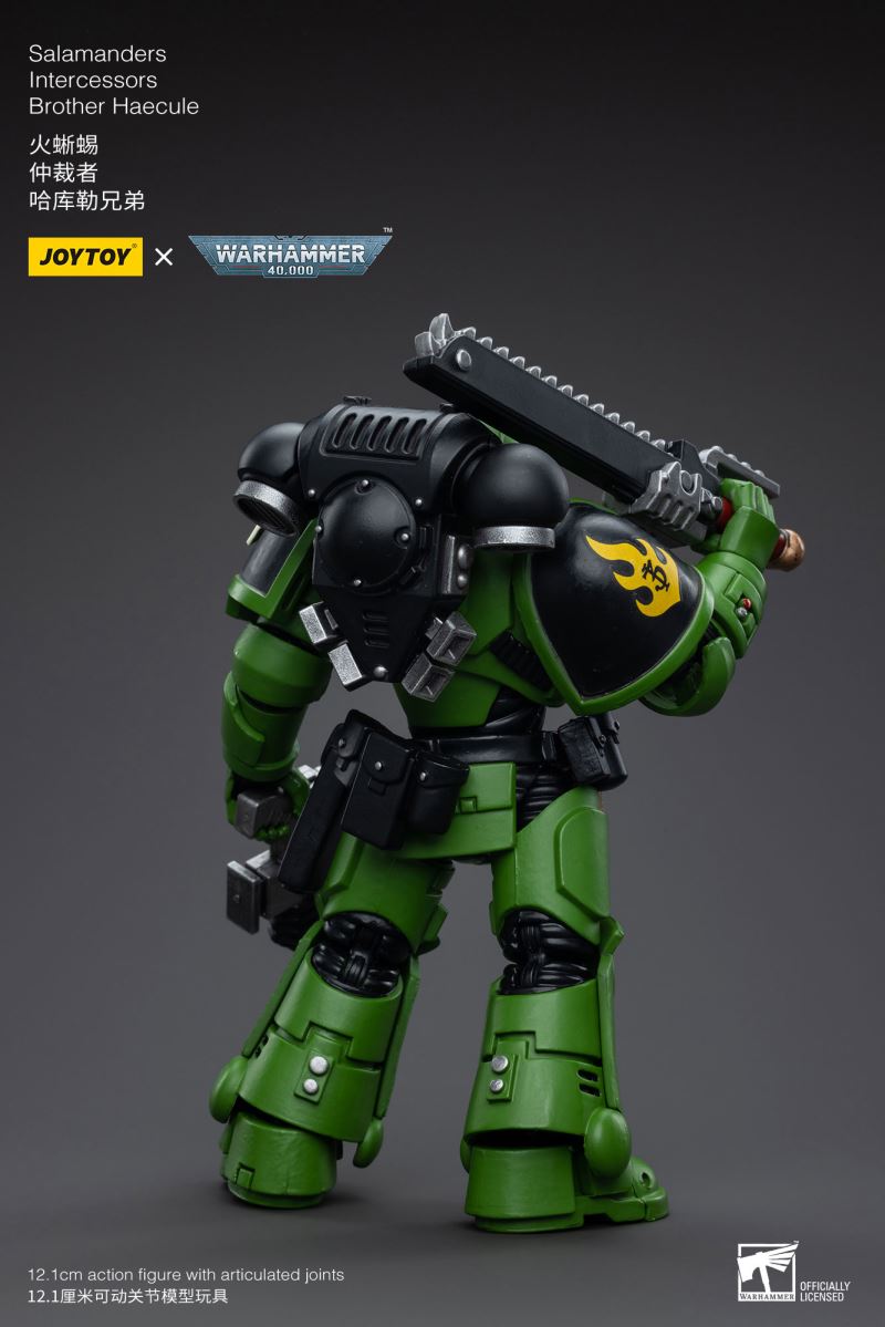 Salamanders Intercessors