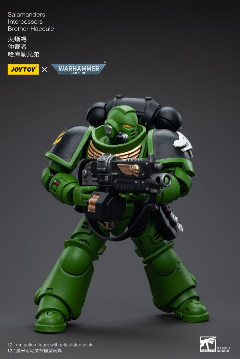 Salamanders Intercessors