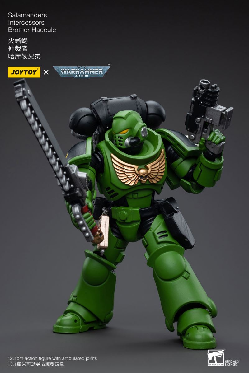 Salamanders Intercessors