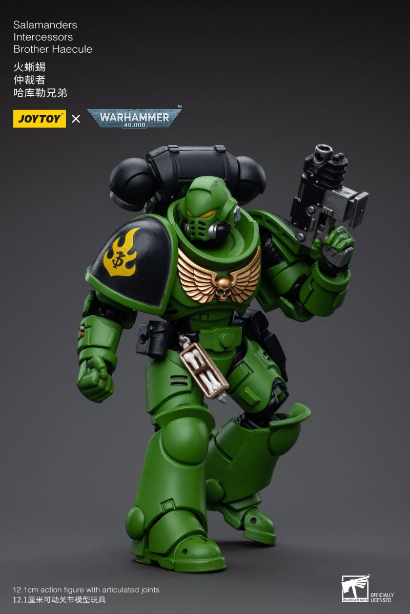 Salamanders Intercessors