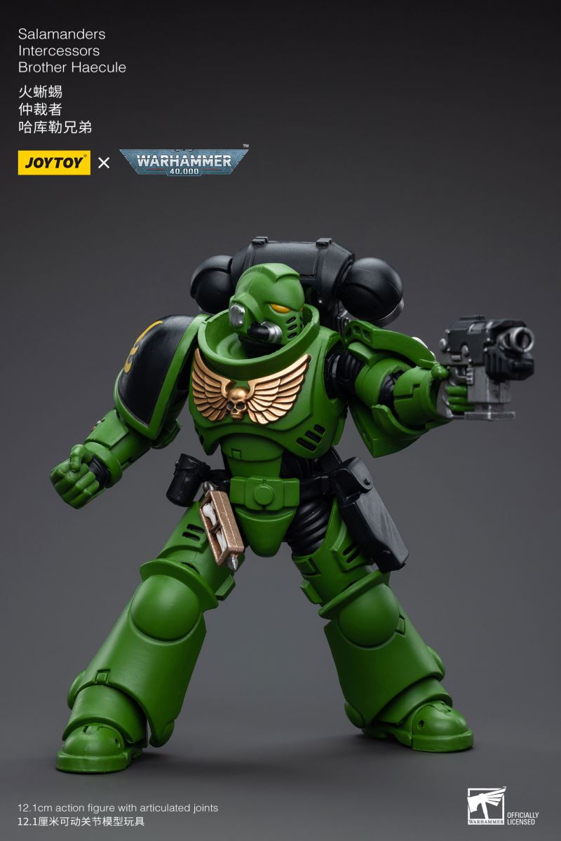 Salamanders Intercessors