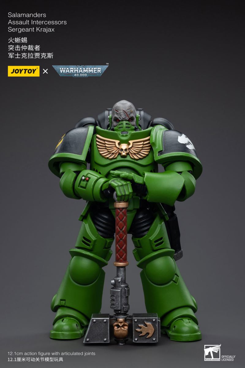 Salamanders Intercessors