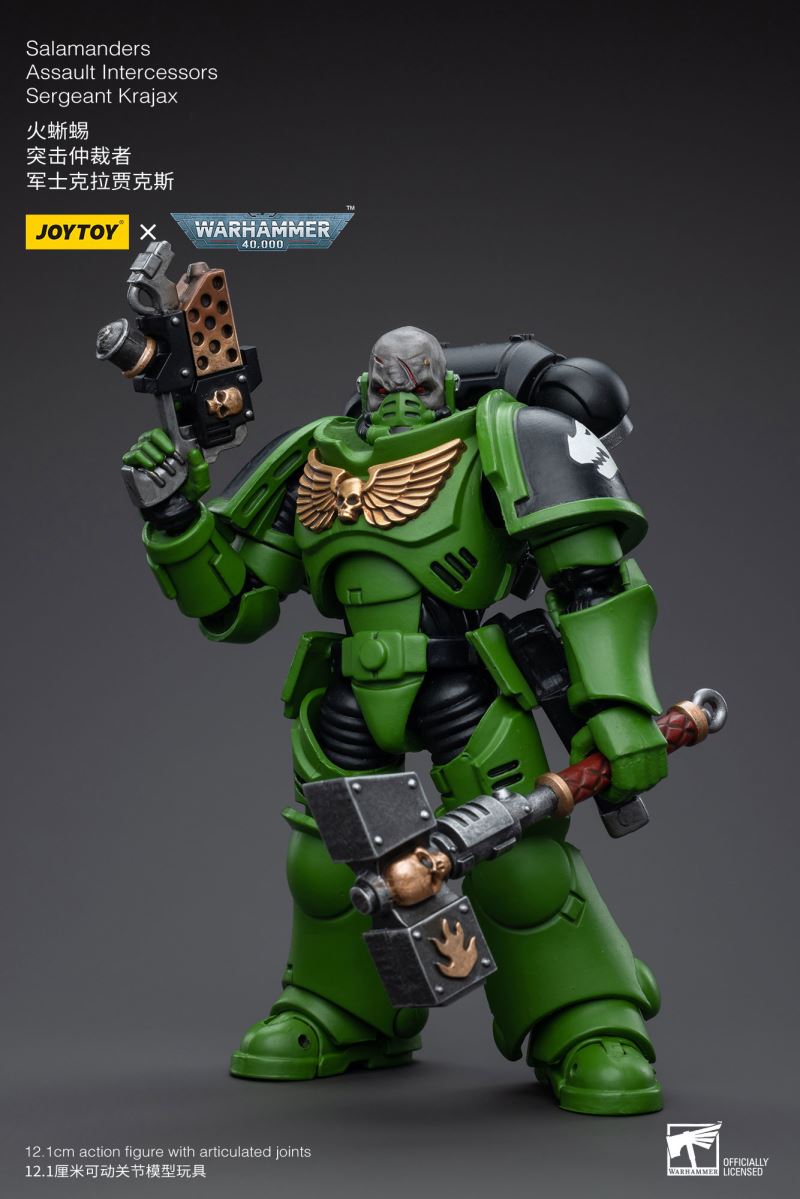 Salamanders Intercessors