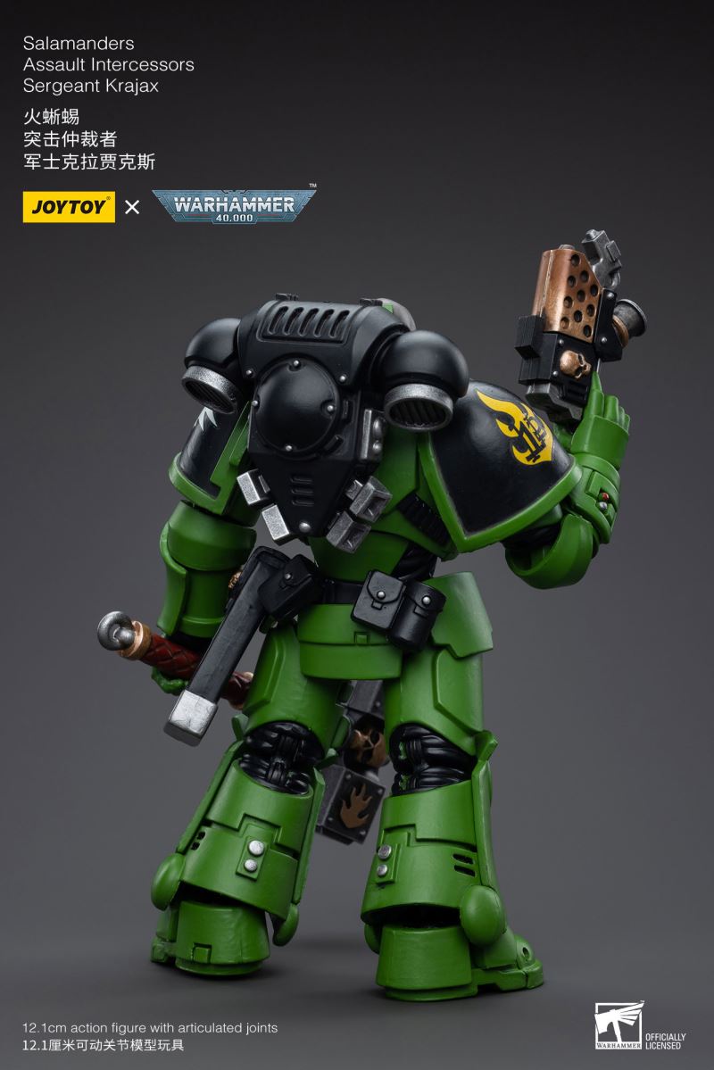 Salamanders Intercessors