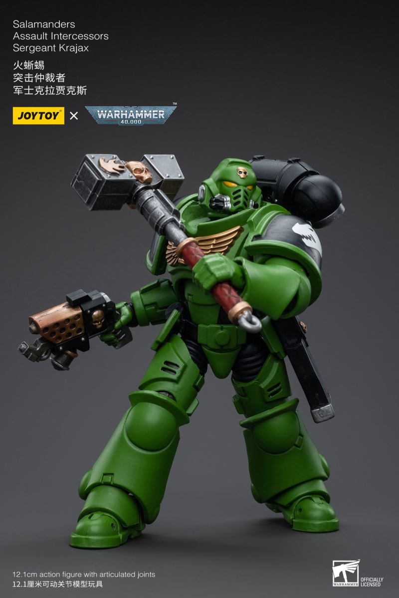 Salamanders Intercessors