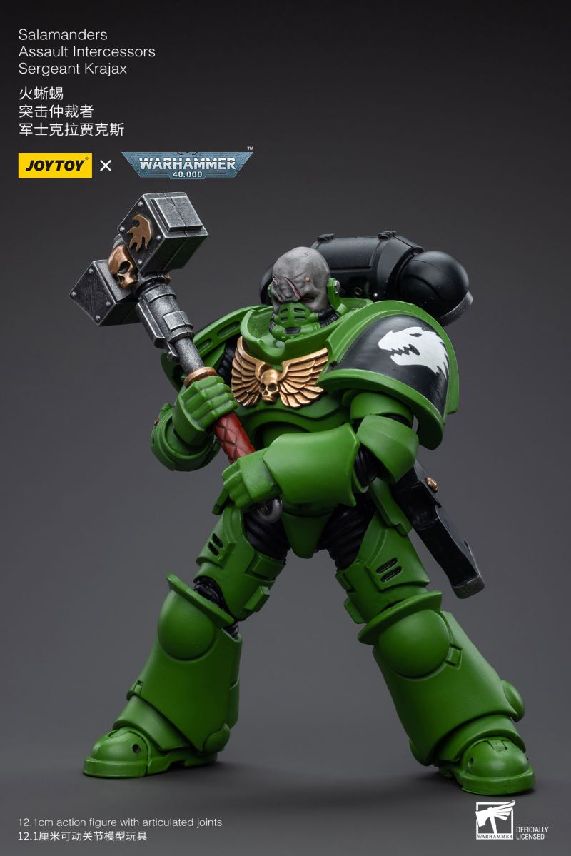 Salamanders Intercessors