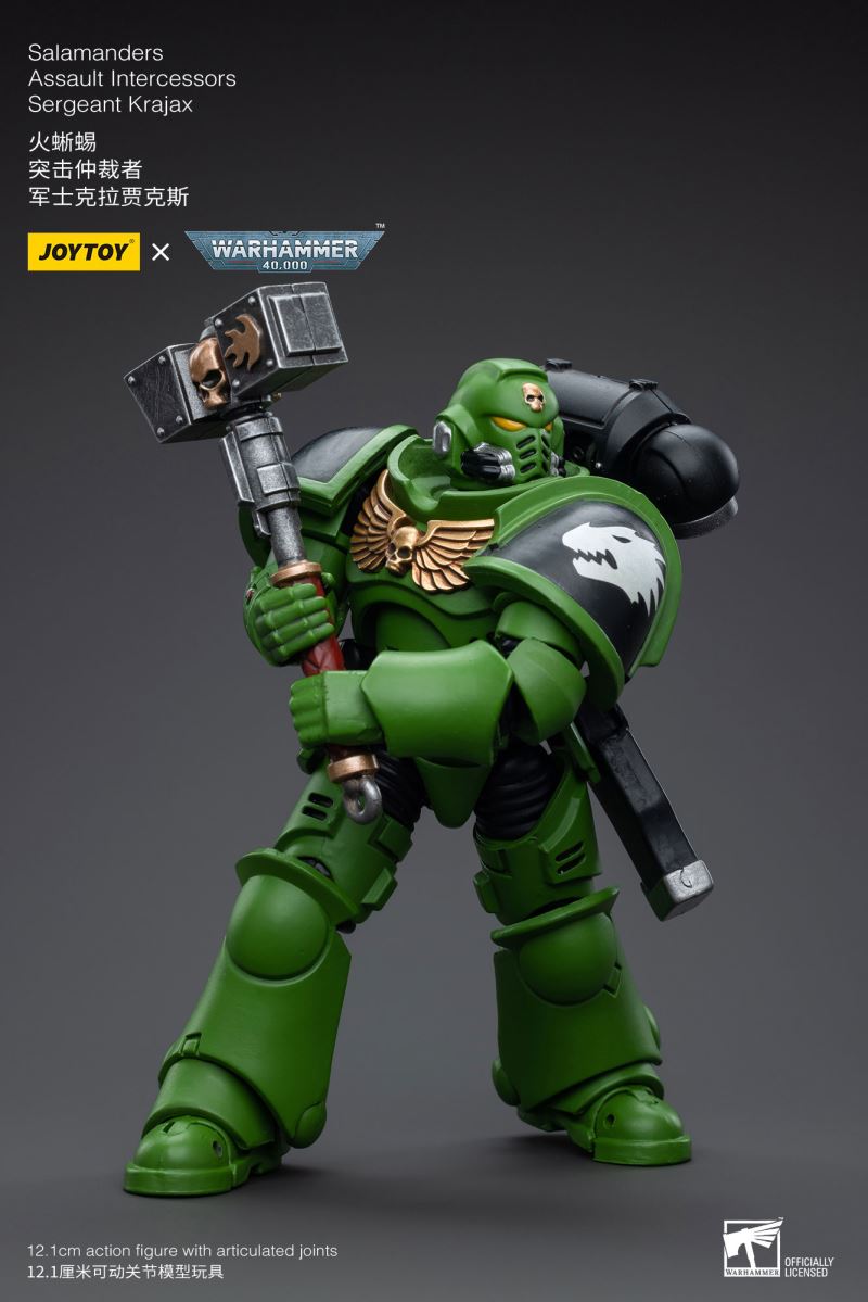 Salamanders Intercessors