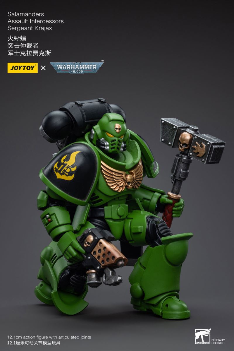 Salamanders Intercessors