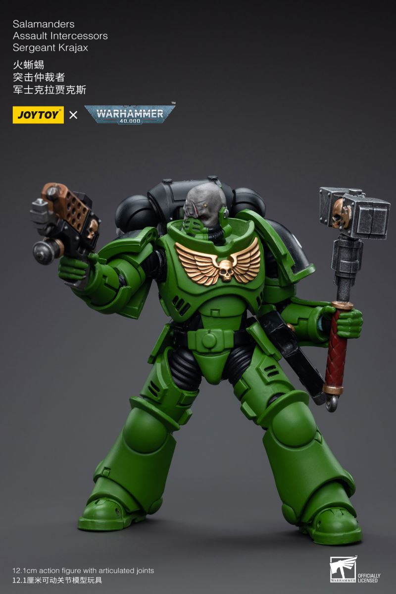 Salamanders Intercessors