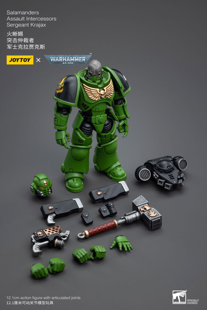 Salamanders Intercessors