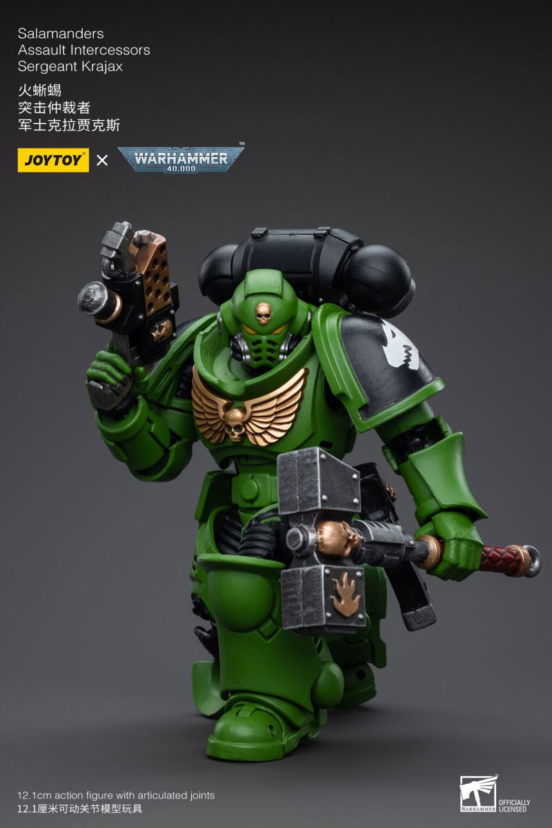 Salamanders Intercessors