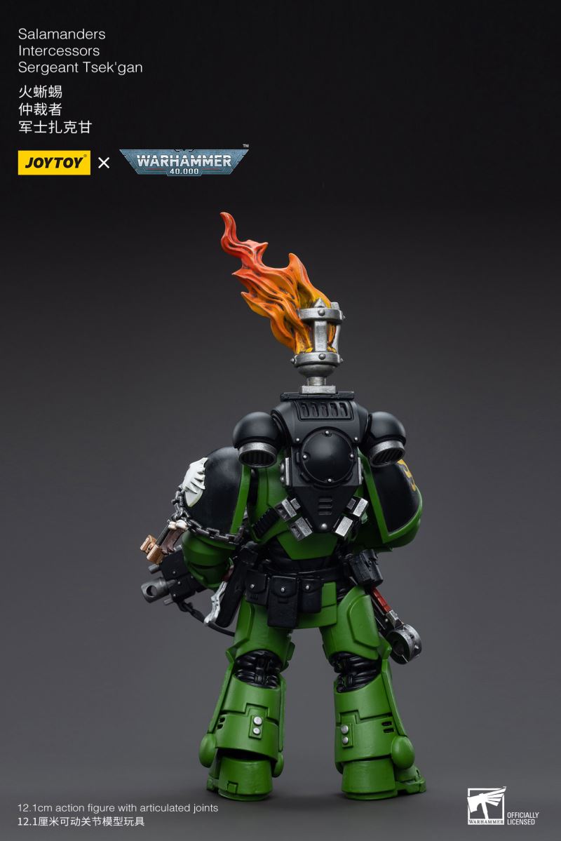 Salamanders Intercessors