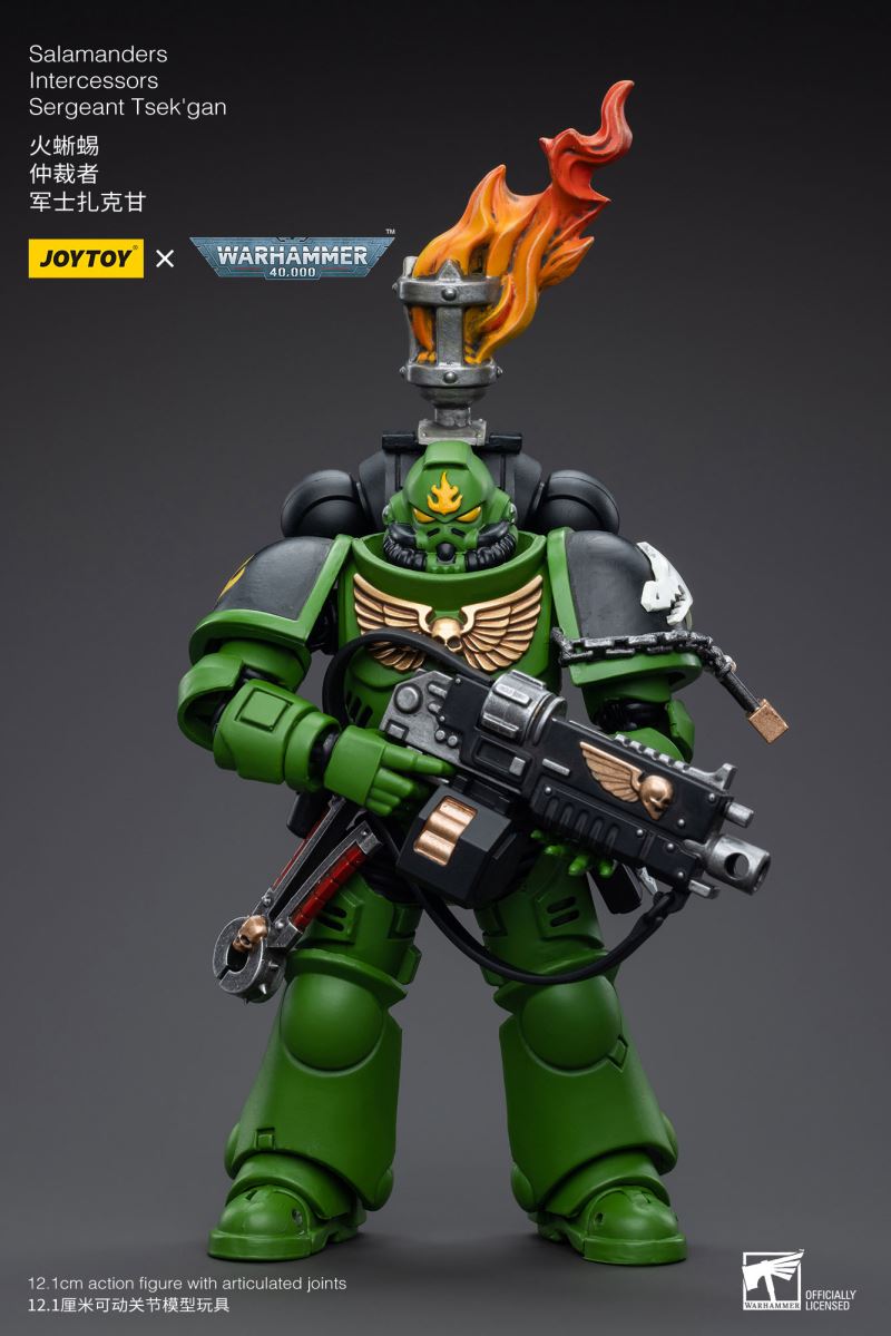 Salamanders Intercessors