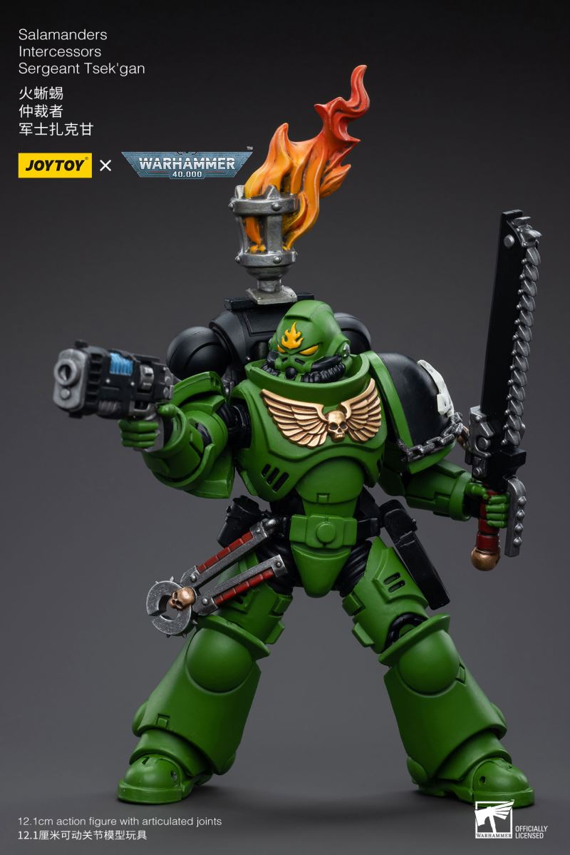 Salamanders Intercessors