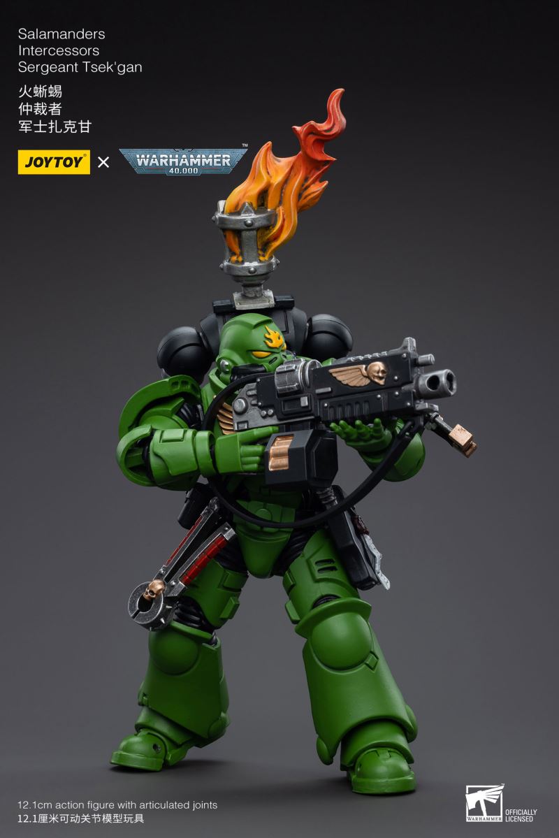 Salamanders Intercessors