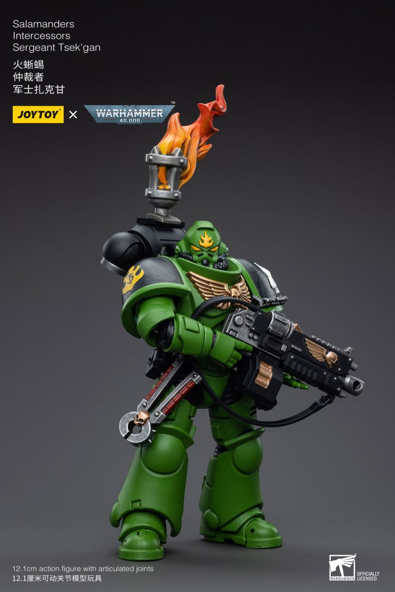 Salamanders Intercessors