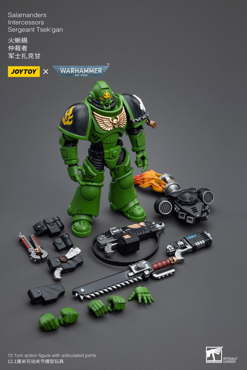 Salamanders Intercessors