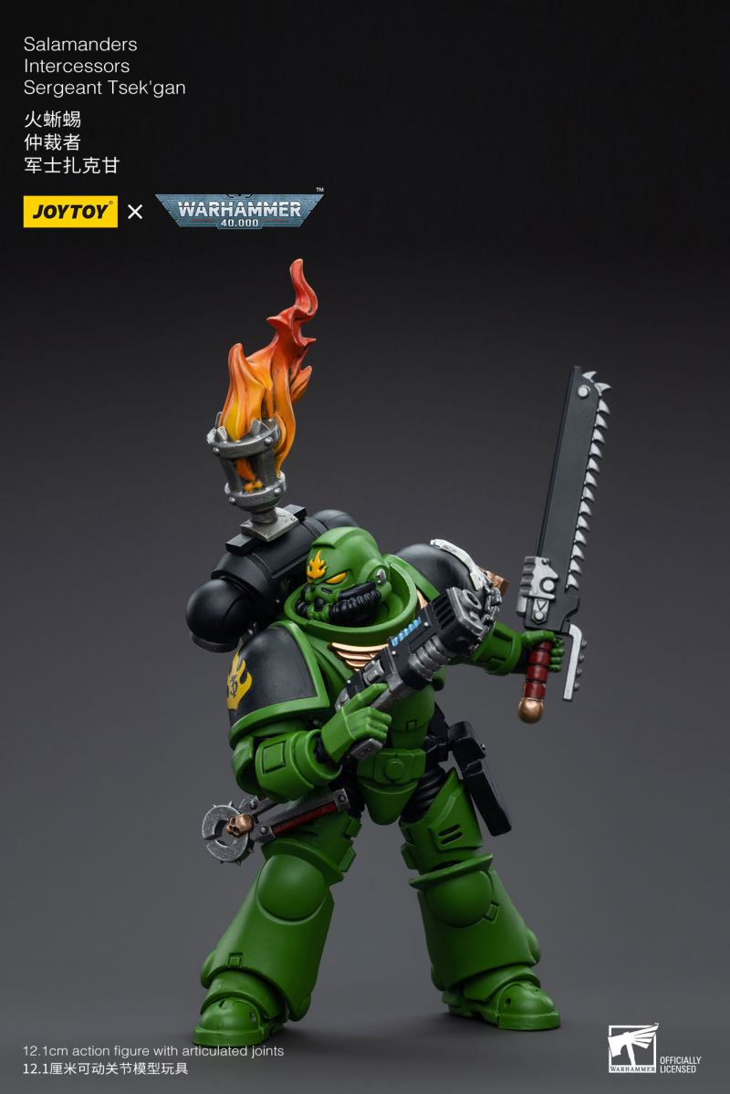 Salamanders Intercessors