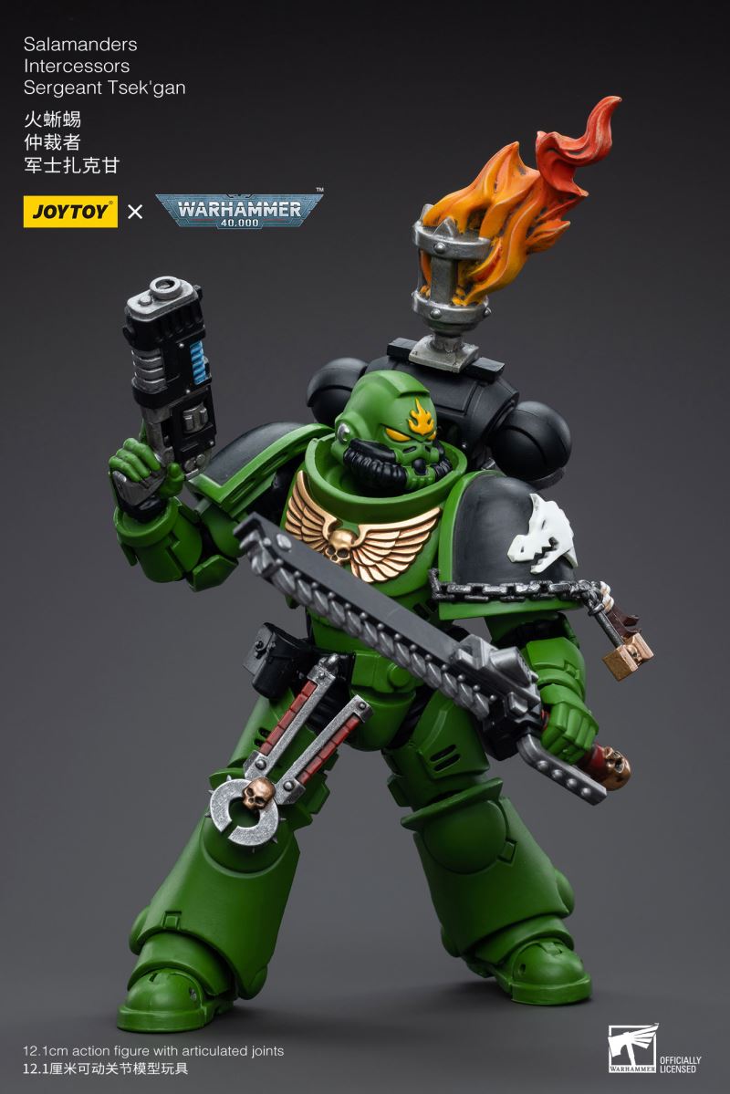 Salamanders Intercessors
