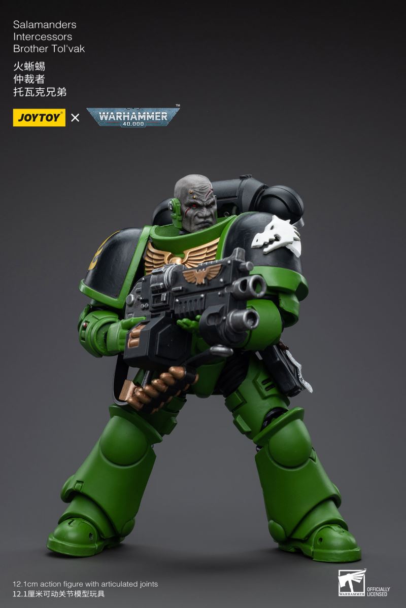 Salamanders Intercessors