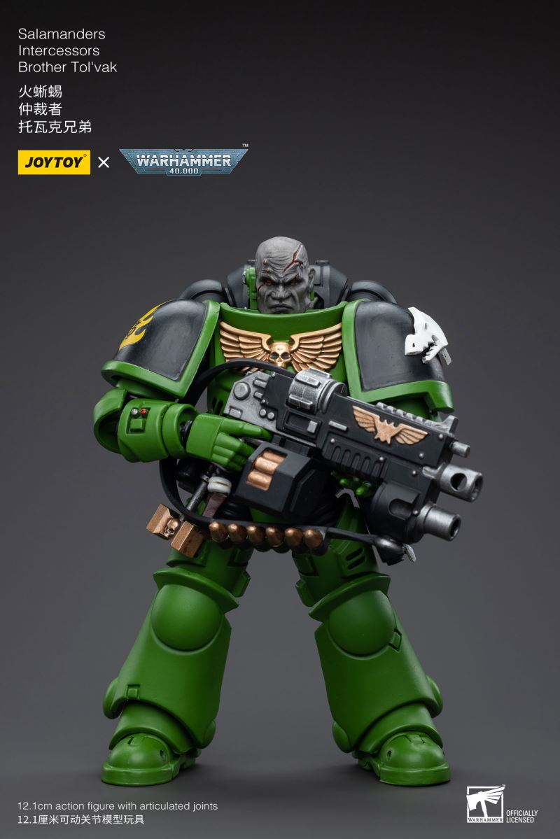 Salamanders Intercessors