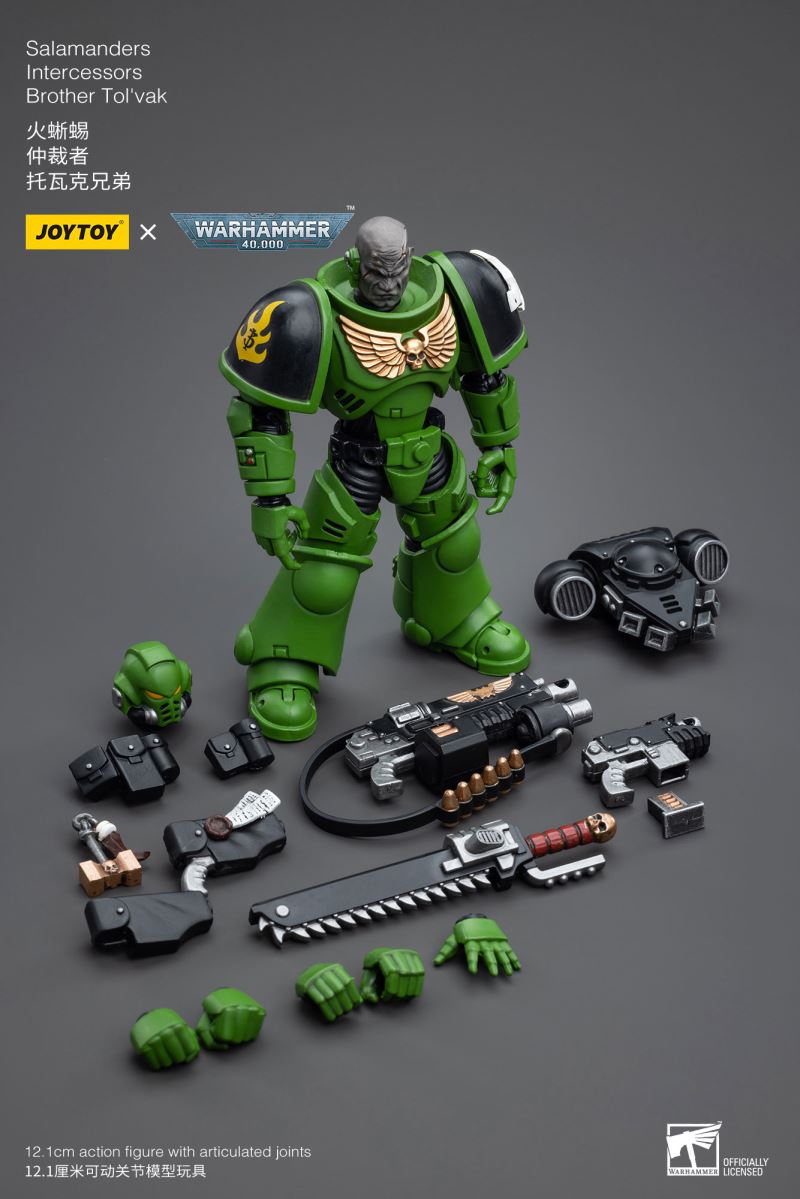 Salamanders Intercessors
