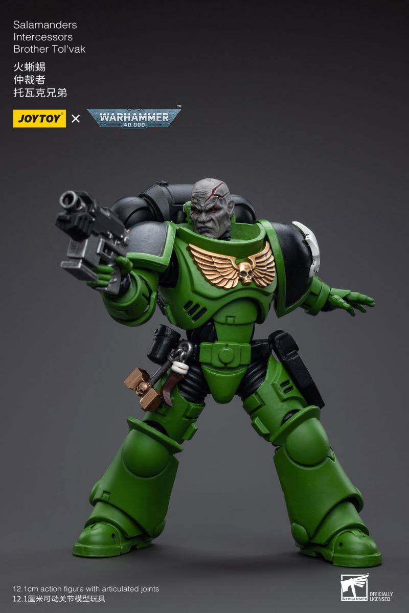 Salamanders Intercessors