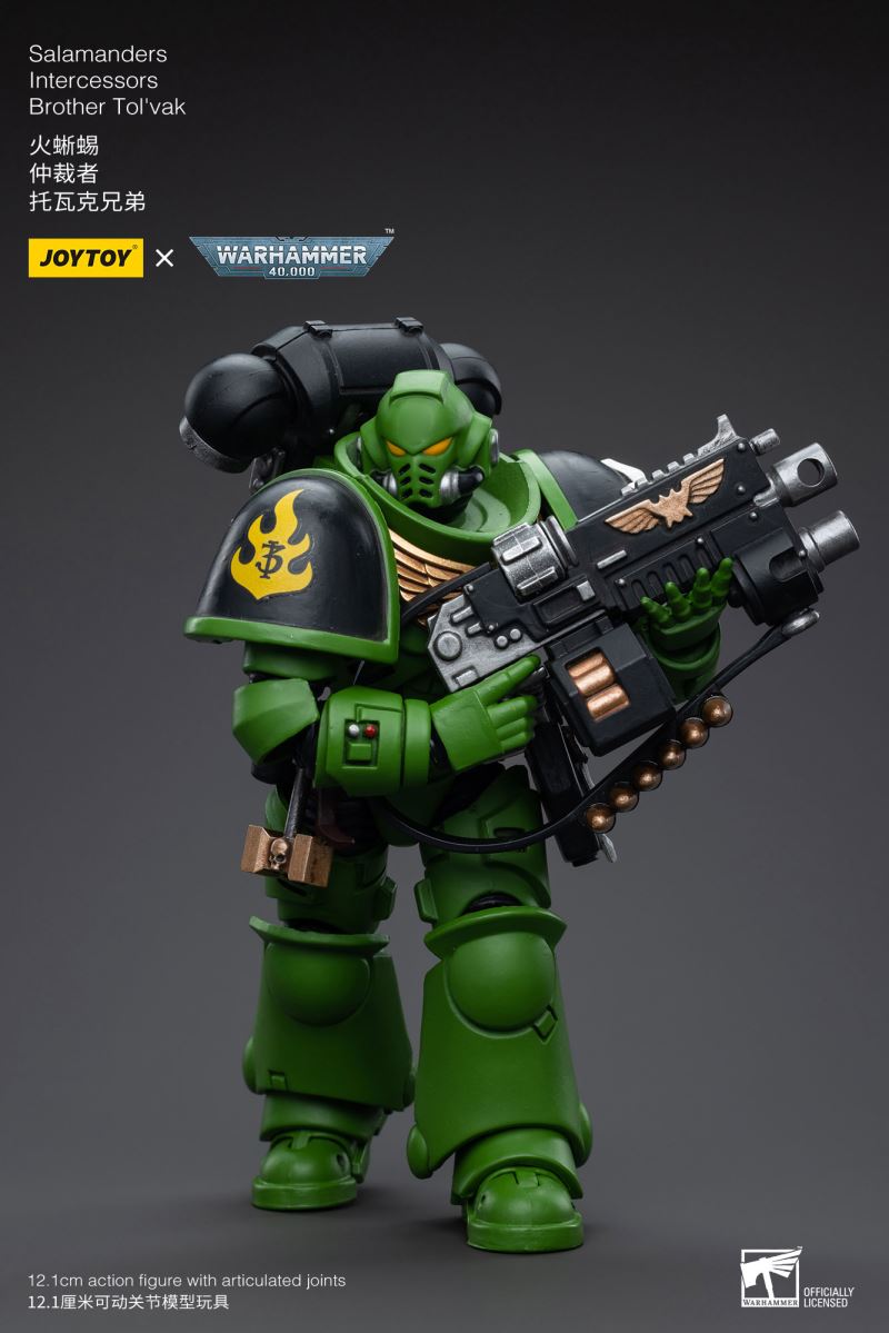Salamanders Intercessors