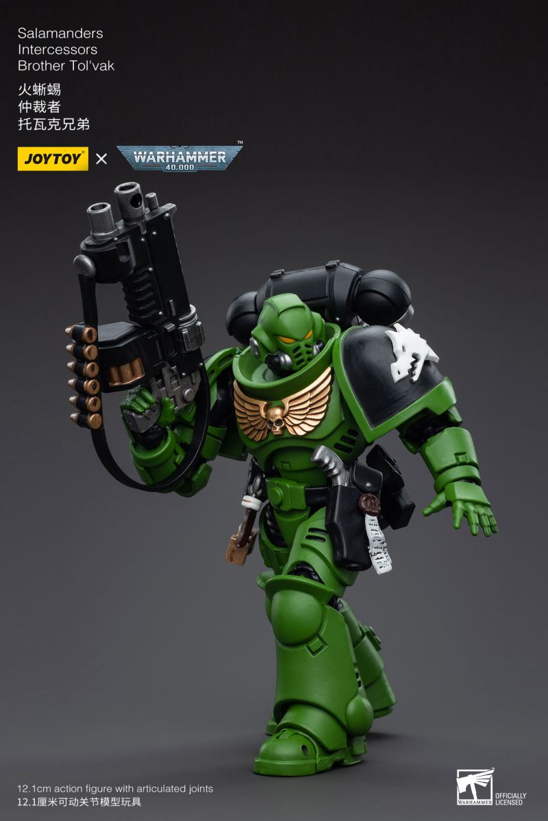 Salamanders Intercessors