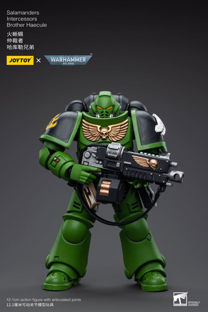Salamanders Intercessors